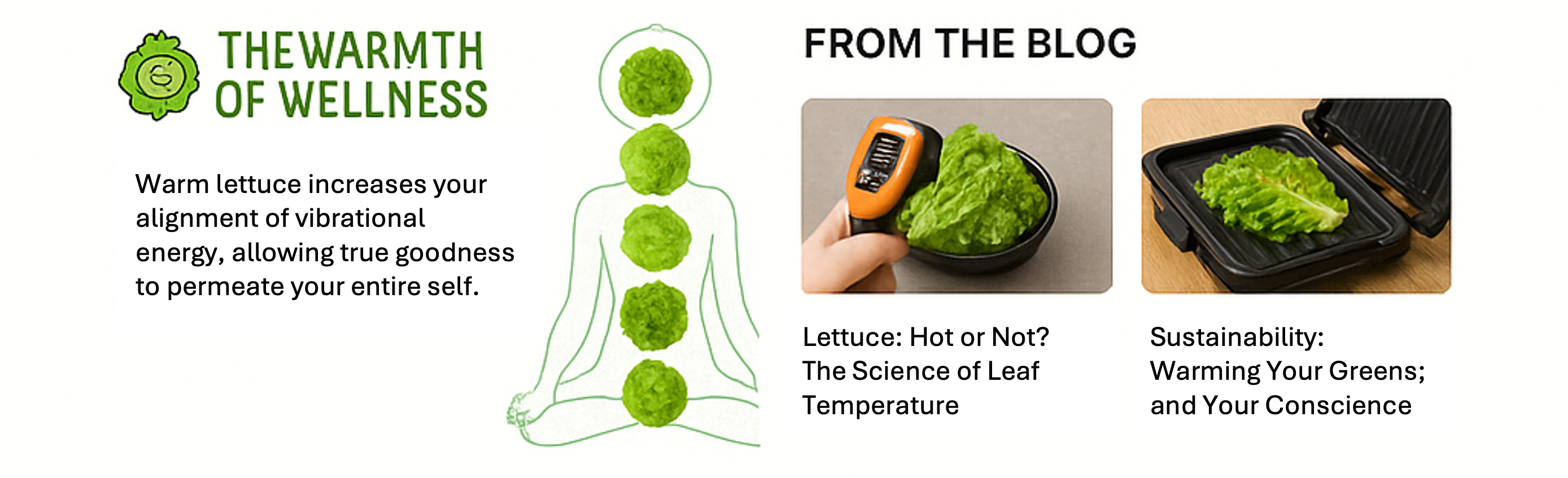 Wellness and blog details